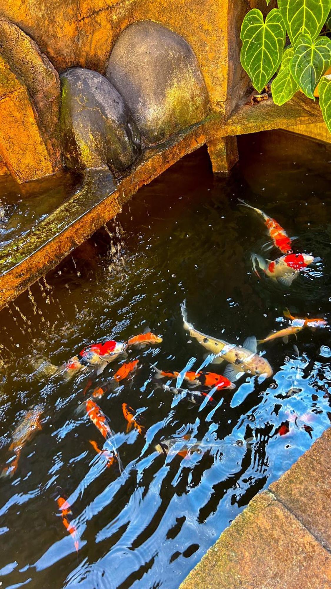 Twentynine Homestay Banyuwangi  Exteriér fotografie